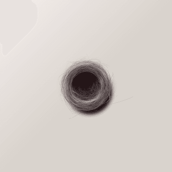 Genesis #11, a generative Nest by exo3535