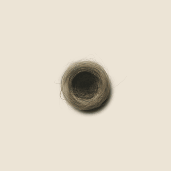 Genesis #12, a generative Nest by exo3535
