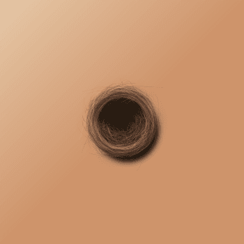 Genesis #20, a generative Nest by exo3535