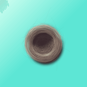 Genesis #21, a generative Nest by exo3535