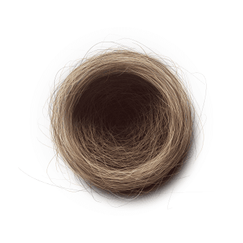 Genesis #24, a generative Nest by exo3535