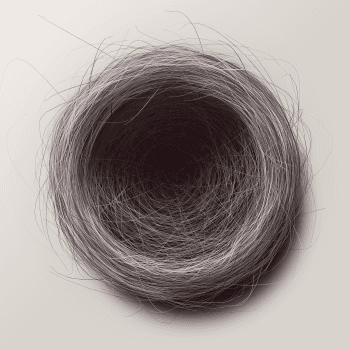 Genesis #29, a generative Nest by exo3535