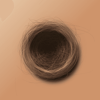 Genesis #34, a generative Nest by exo3535