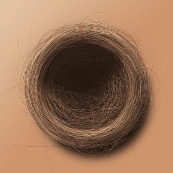 Genesis #35, a generative Nest by exo3535