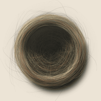 Genesis #38, a generative Nest by exo3535