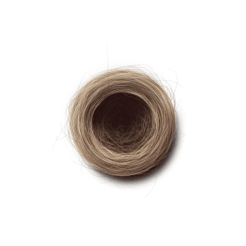 Genesis #47, a generative Nest by exo3535