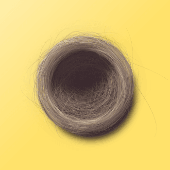 Genesis #54, a generative Nest by exo3535