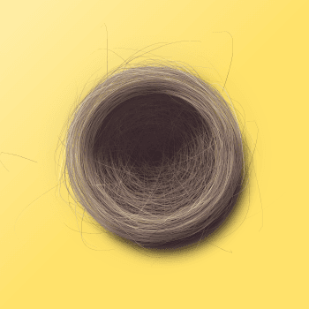 Genesis #6, a generative Nest by exo3535