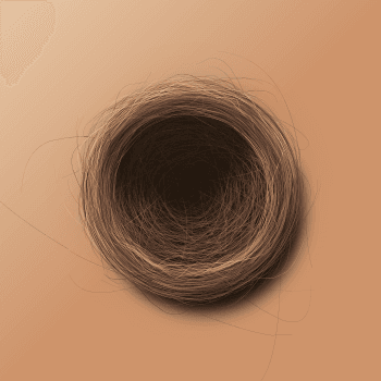 Genesis #77, a generative Nest by exo3535