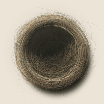 Genesis #79, a generative Nest by exo3535