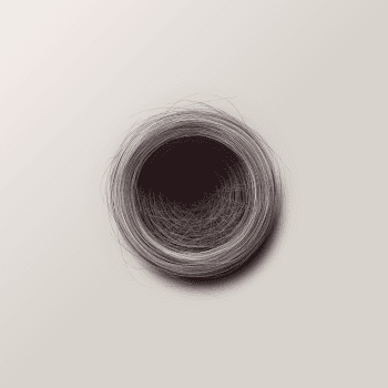Genesis #81, a generative Nest by exo3535