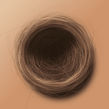 Genesis #85, a generative Nest by exo3535