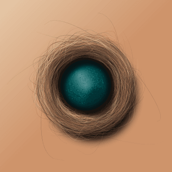 Genesis #88, a generative Nest by exo3535