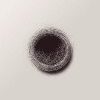 Genesis #91, a generative Nest by exo3535