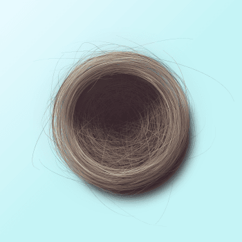 Genesis #96, a generative Nest by exo3535
