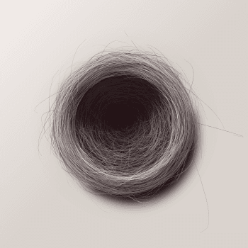 Genesis #1, a generative Nest by exo3535