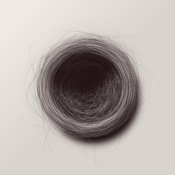 Genesis #13, a generative Nest by exo3535