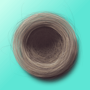 Genesis #15, a generative Nest by exo3535
