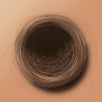 Genesis #17, a generative Nest by exo3535