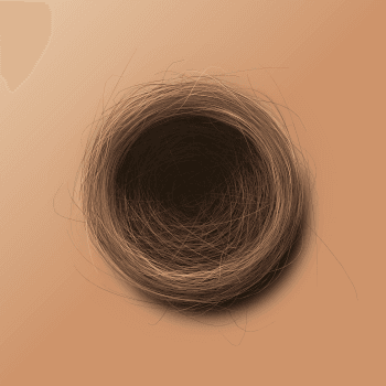 Genesis #18, a generative Nest by exo3535