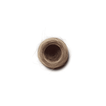 Genesis #19, a generative Nest by exo3535