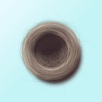 Genesis #2, a generative Nest by exo3535