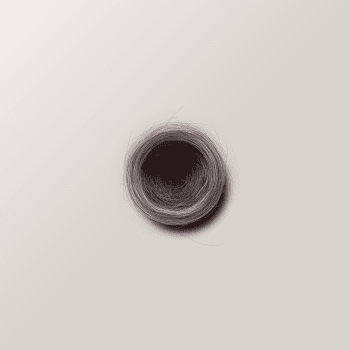 Genesis #22, a generative Nest by exo3535
