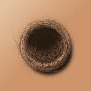 Genesis #26, a generative Nest by exo3535