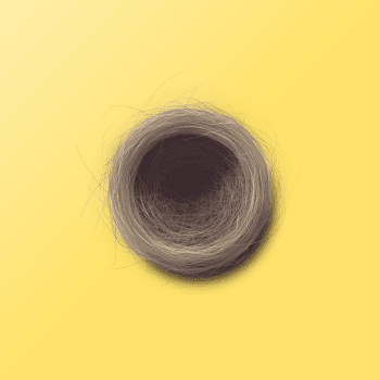 Genesis #3, a generative Nest by exo3535