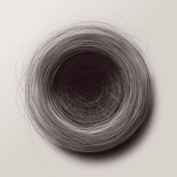 Genesis #30, a generative Nest by exo3535