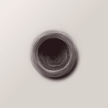 Genesis #31, a generative Nest by exo3535