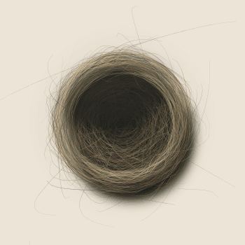Genesis #39, a generative Nest by exo3535