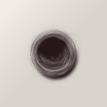 Genesis #48, a generative Nest by exo3535