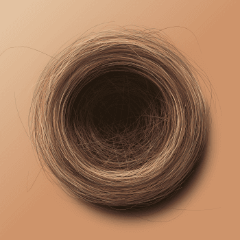 Genesis #49, a generative Nest by exo3535