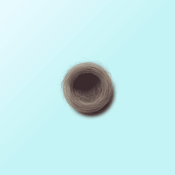 Genesis #50, a generative Nest by exo3535