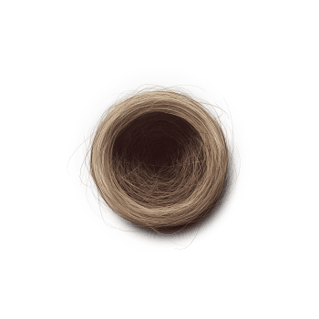 Genesis #53, a generative Nest by exo3535