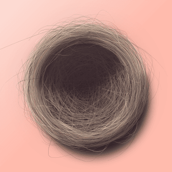 Genesis #60, a generative Nest by exo3535