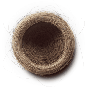 Genesis #64, a generative Nest by exo3535