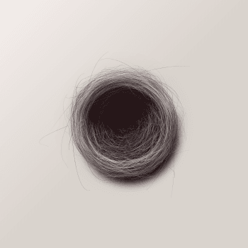 Genesis #66, a generative Nest by exo3535
