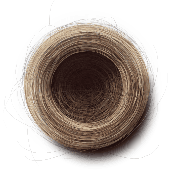 Genesis #67, a generative Nest by exo3535