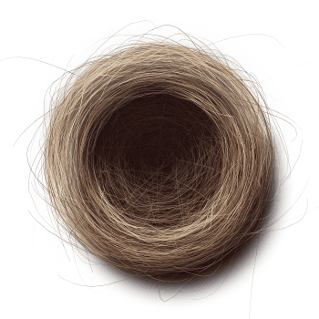 Genesis #70, a generative Nest by exo3535