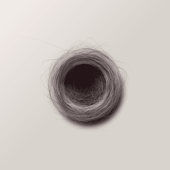 Genesis #72, a generative Nest by exo3535