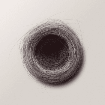 Genesis #74, a generative Nest by exo3535
