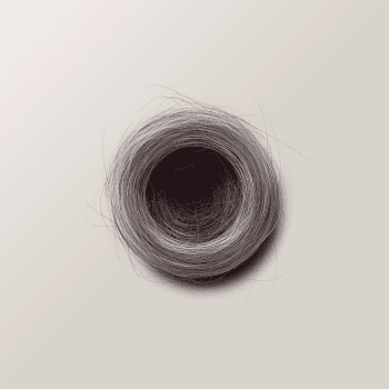 Genesis #75, a generative Nest by exo3535
