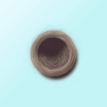 Genesis #84, a generative Nest by exo3535