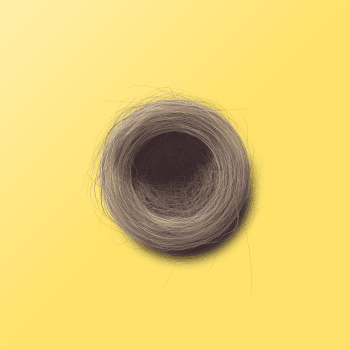 Genesis #9, a generative Nest by exo3535