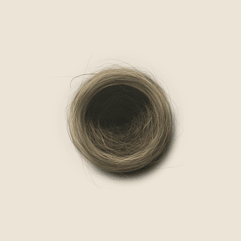 Genesis #94, a generative Nest by exo3535