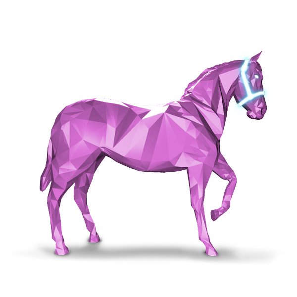 The Zed Run racehorse Meetme
